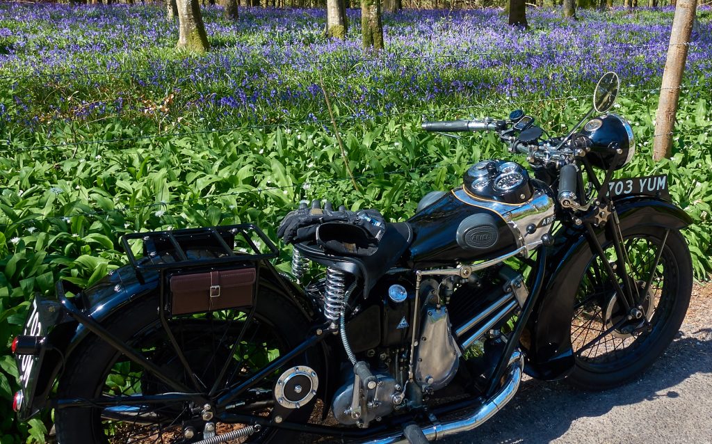 Photos from the Bluebell Run 2021