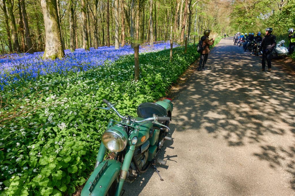 Photos from the Bluebell Run 2022