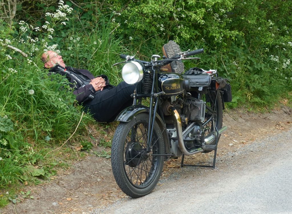 Photos from the Hedgerow Run 2022